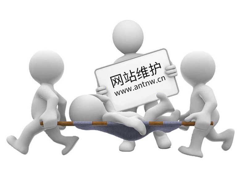 四川网络公司有哪些?